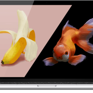 GalleryArtFranchiseModel