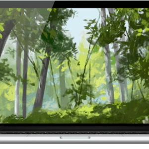 GalleryMulti-PlatformArtSales